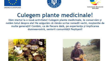 Documentare plante medicinale